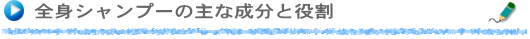 全身シャンプーの主な成分と効果